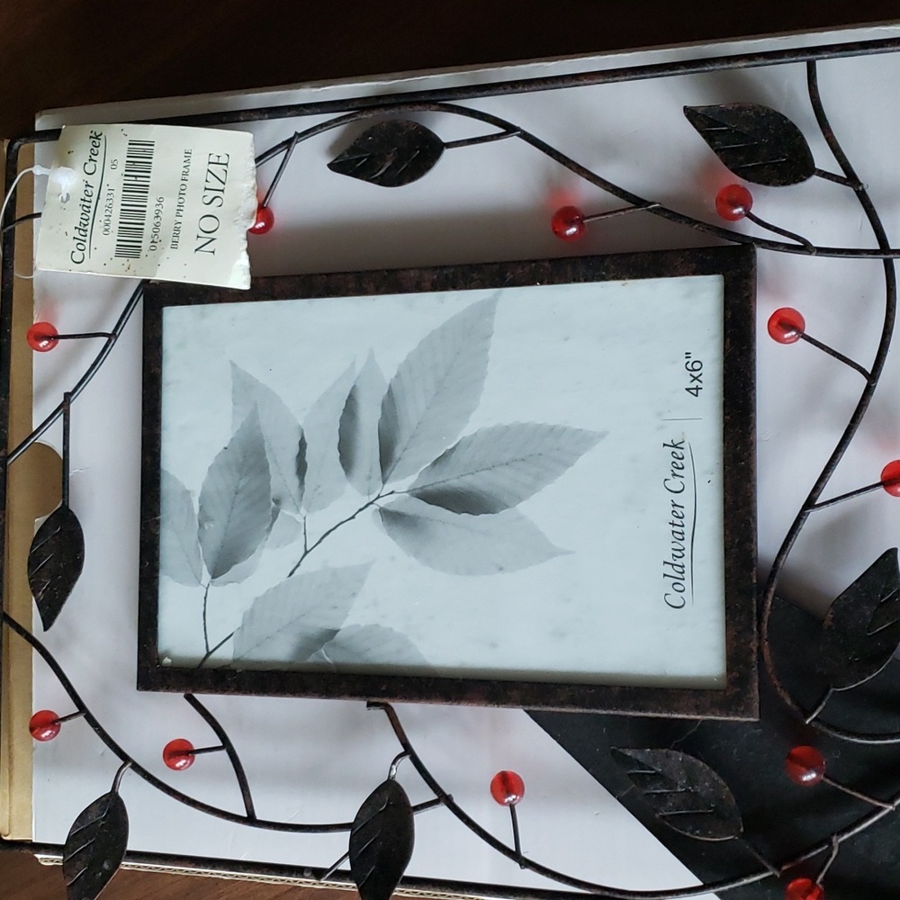 Coldwater Creek Berry Picture Frame fits 4 x 6 picture NWT